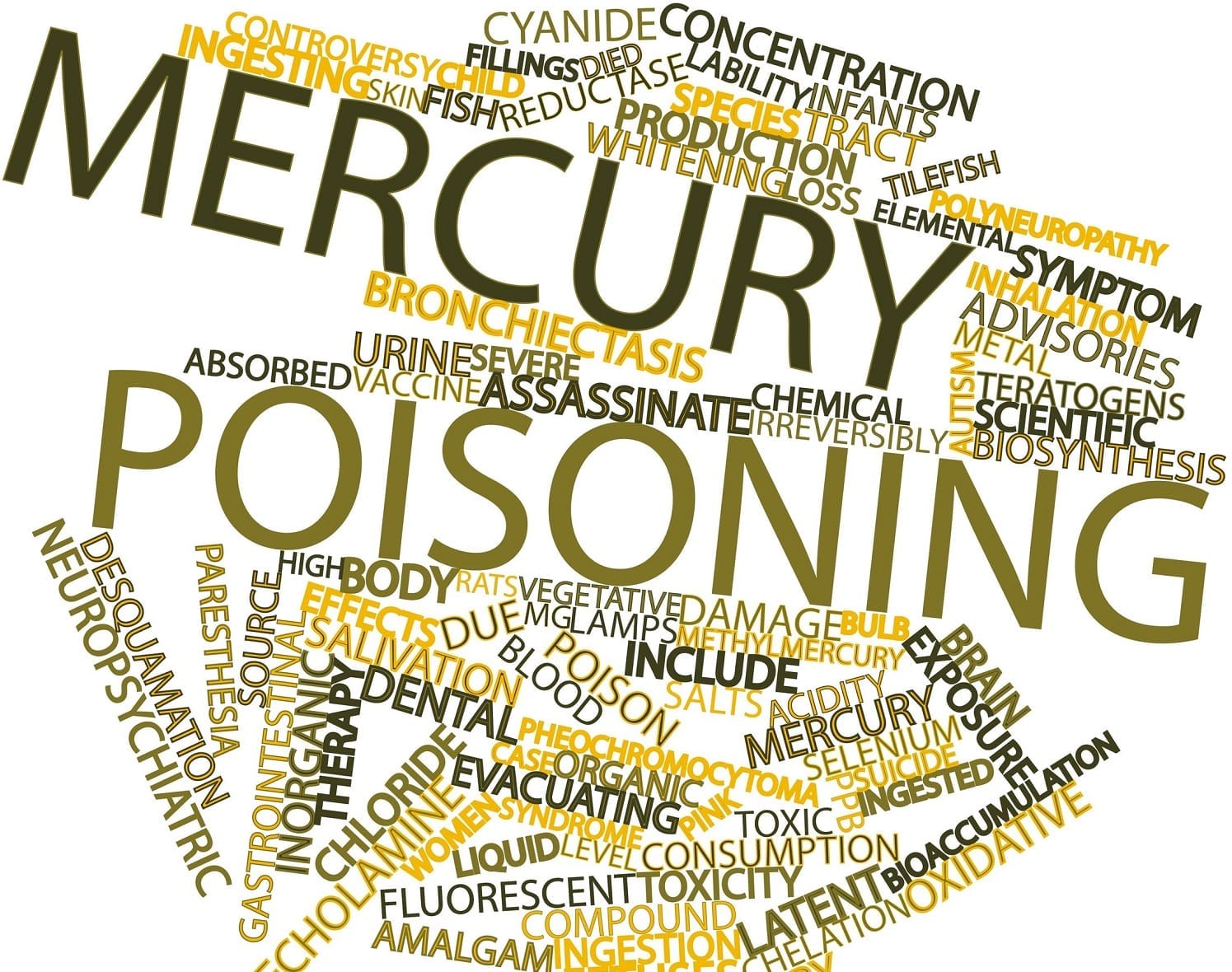 a list of symptoms of mercury poisoning
